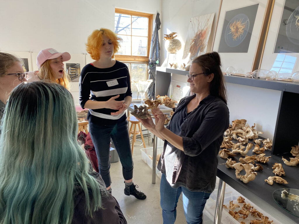 Double DEC – Sciences humaines + Arts visuels