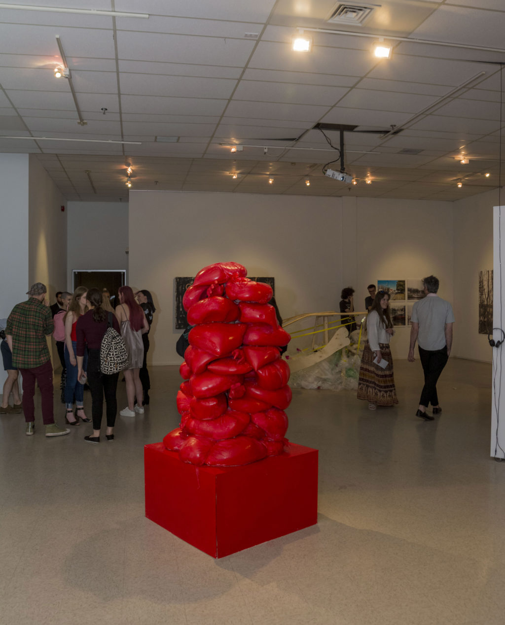 20170524_Vernissage_MACL_13