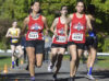 cross-country1