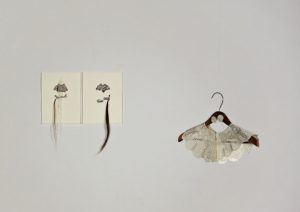 sarah-madgin-01-1000w