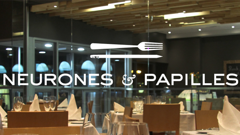 Neurones&papilles