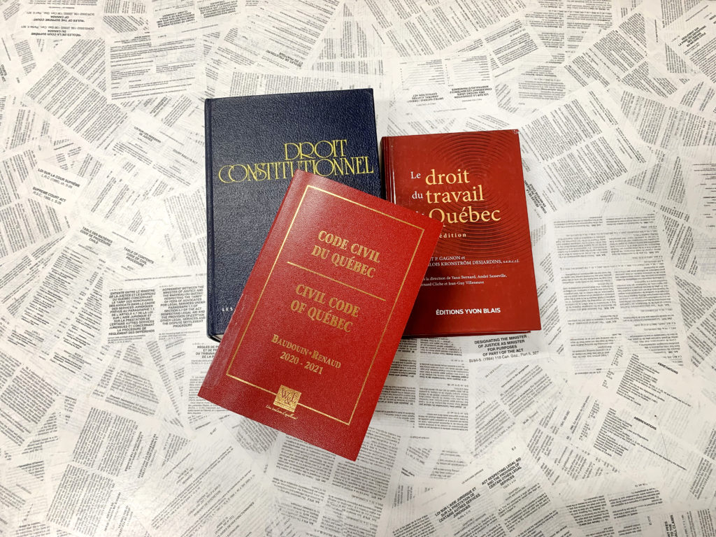 Livres en techniques juridiques
