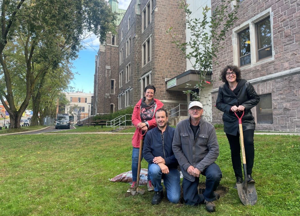Groupe de personnes en train de planter un arbre