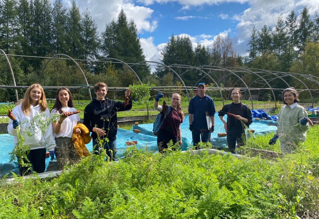 developpement-durable