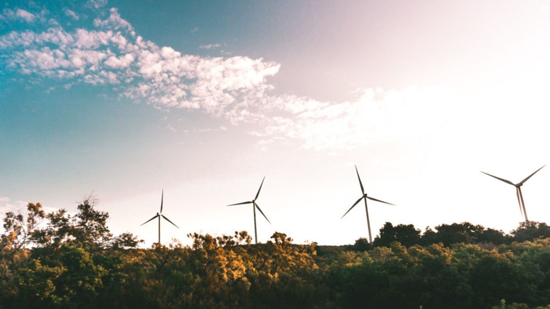 Gestion des matières résiduelles