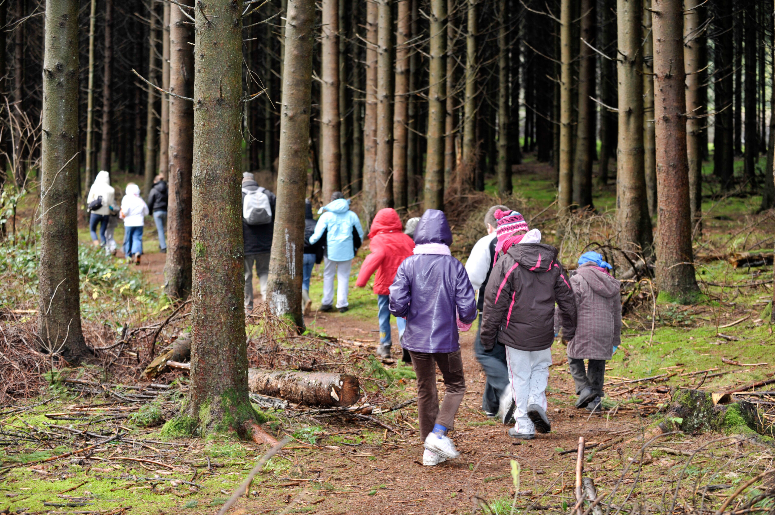 classes vertes excursion education enfants foret bois nature automne environnement