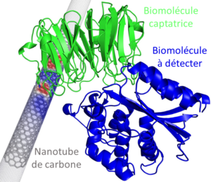 Article_S_Coté_figure