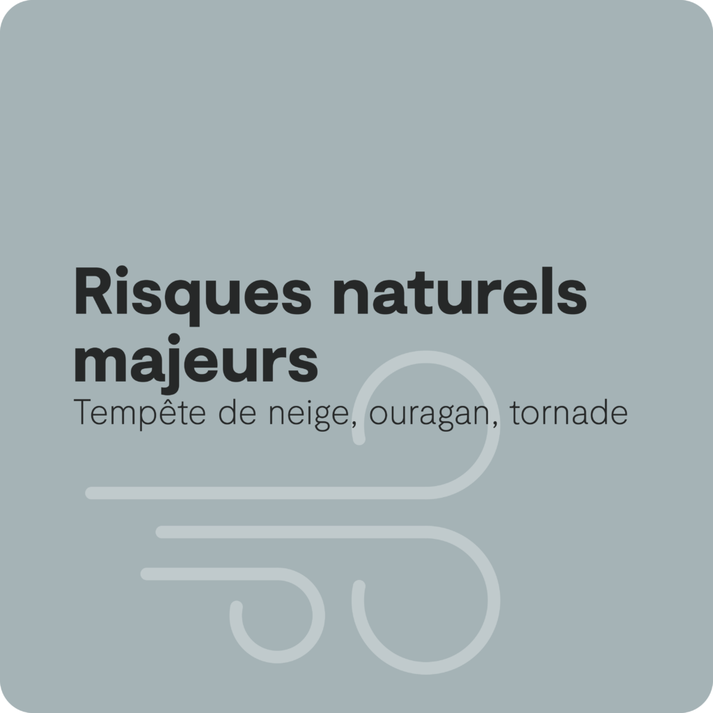 1080x1080-TuilePMU-Naturel