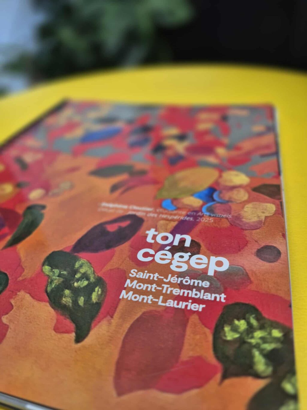 28570d68-c1d9-49c1-8426-e02390963b12