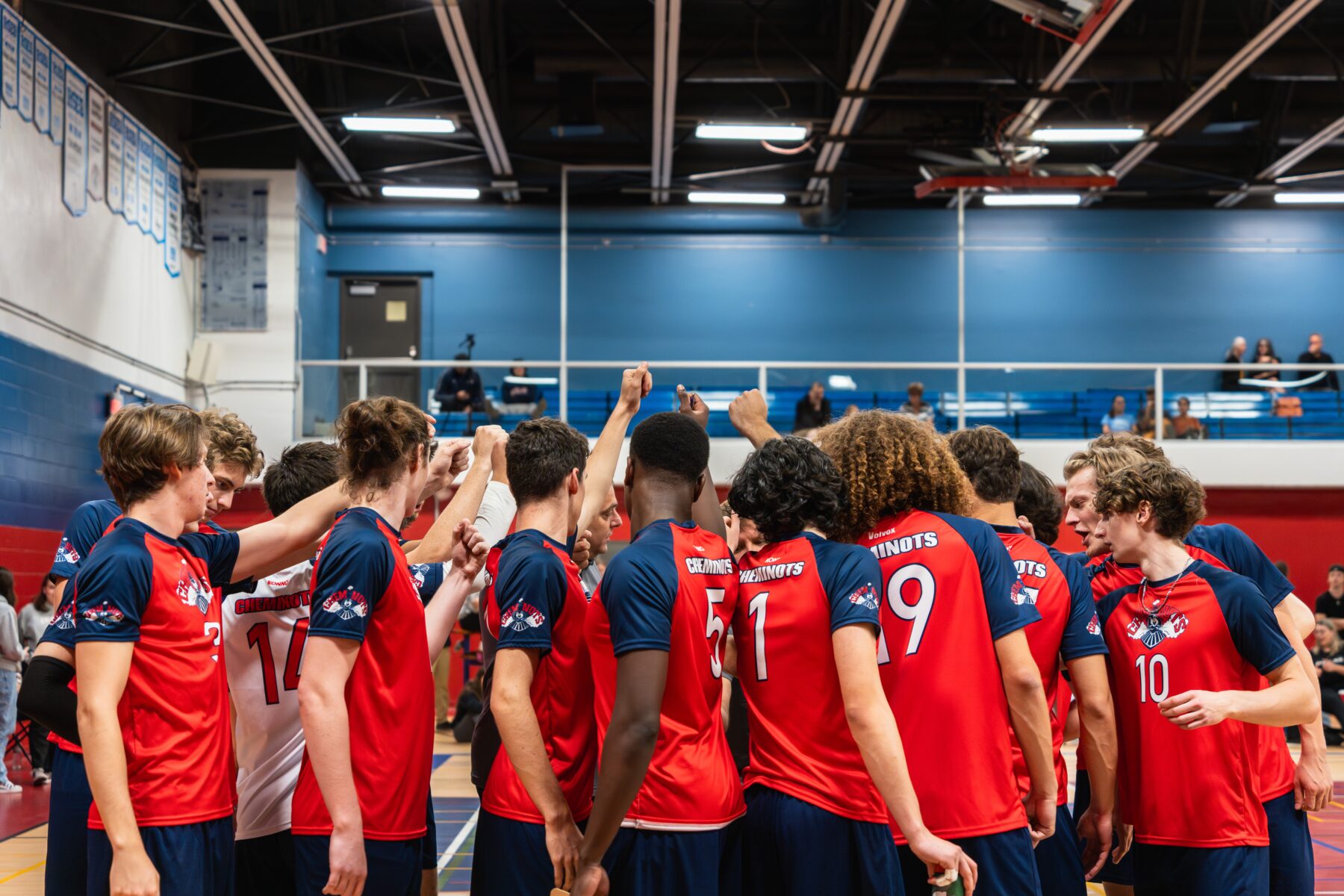 Volleyball masculin - division 1