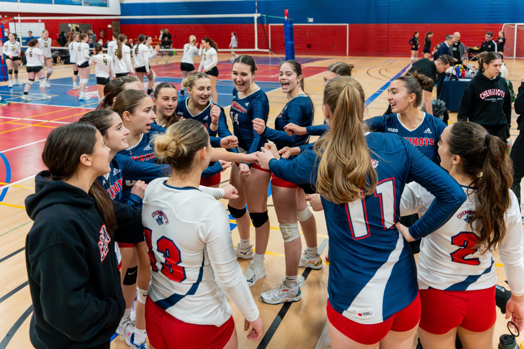 Volleyball féminin - division 2