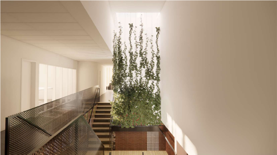 PavillonF_interieur_plantes