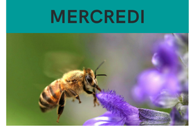 Prog semaine de la Terre_apiculture