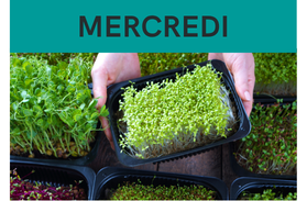 Prog semaine de la Terre_pousses